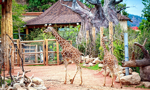 Cheyenne Mountain Zoo