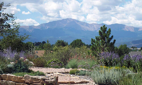 Northeast Colorado Springs